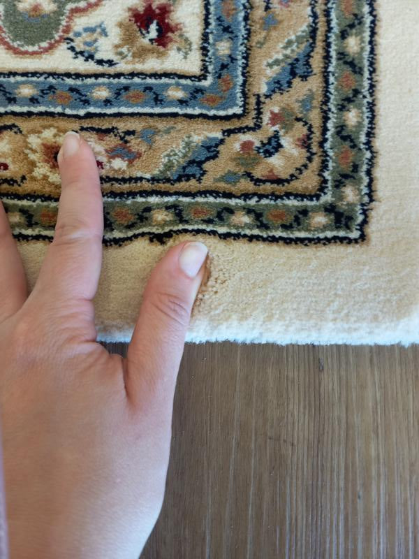 Elite Cream Panel Persian Allover Design Soft High Quality Floor Area Rugs