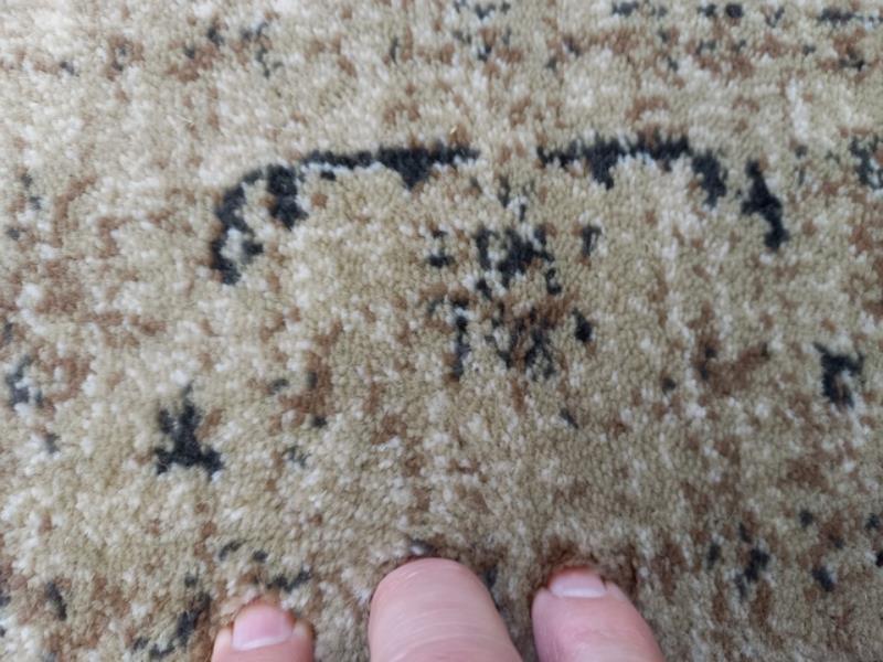 Persian Wash Design Hall Runner Chorus Beige Allover 80cm wide by the meter Soft Feel