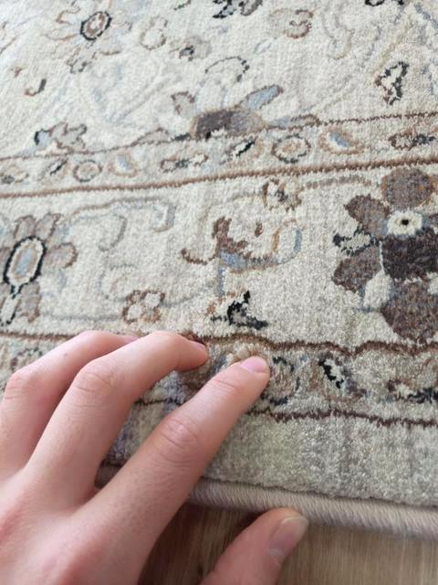Hall Runner by the meter High Quality Imagination Allover Beige Taupe Persian Design 13mm Thick