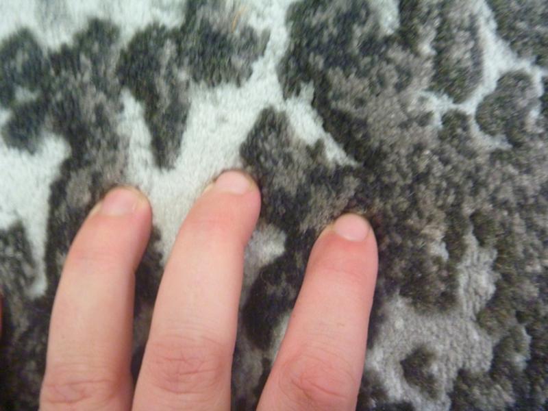Modern Soft Heat-set Polypropylene Mystery Anthracite Cannon 12mm Thick Floor Rugs