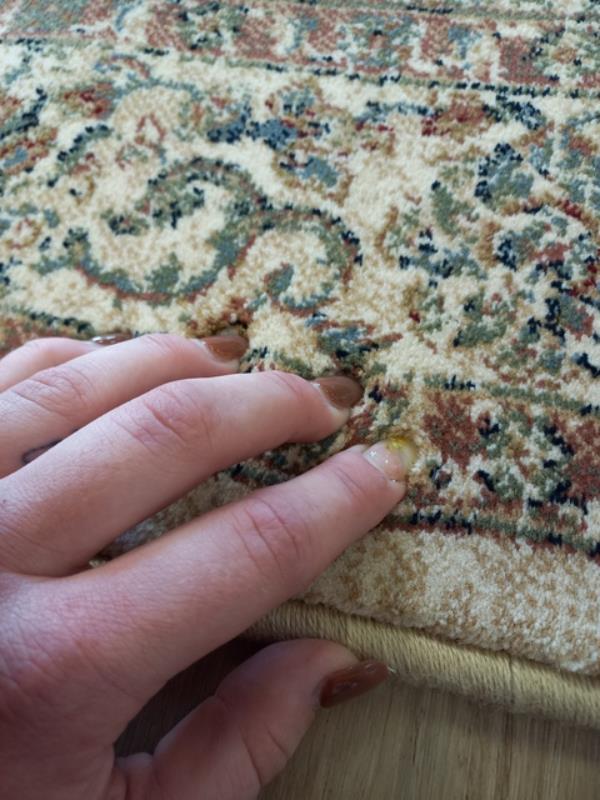 Persian Design Hall Runner by the Meter 80cm or 100cm Wide Beige Elite Bakhtiari Soft High Quality