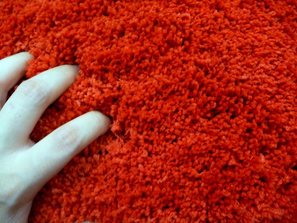 Super Soft Shaggy Floor Area Rugs Snuggly Red & Circle