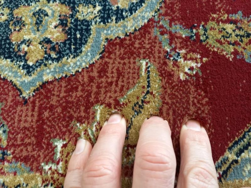 Elite Bakhtiari Red Blue Persian Design Soft High Quality Floor Area Rugs