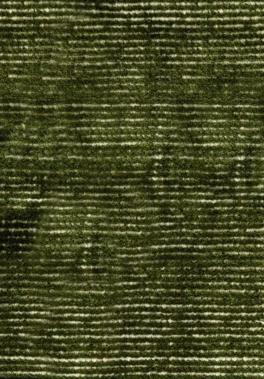 Hand Loomed Art Silk & Wool Hampton Green Area Floor Rug