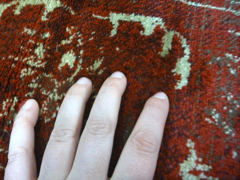 Persian Wash Design Chorus Burgundy Allover Soft Feel Floor Area Rugs & Runner