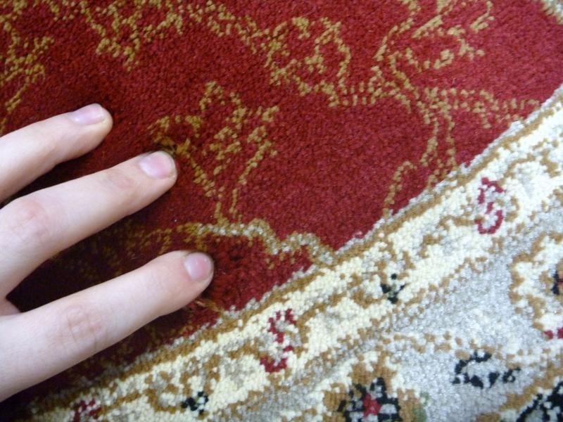 Persian Round Rugs Chorus Circle Red Soft Feel