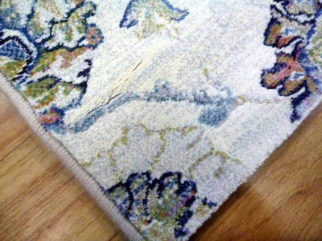 Aurora Washed Floral Multi Modern Design Soft High Quality Floor Area Rugs