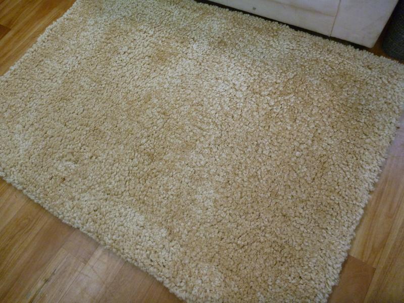 Shaggy Rugs Exquisite Beige Super Soft 120X170CM