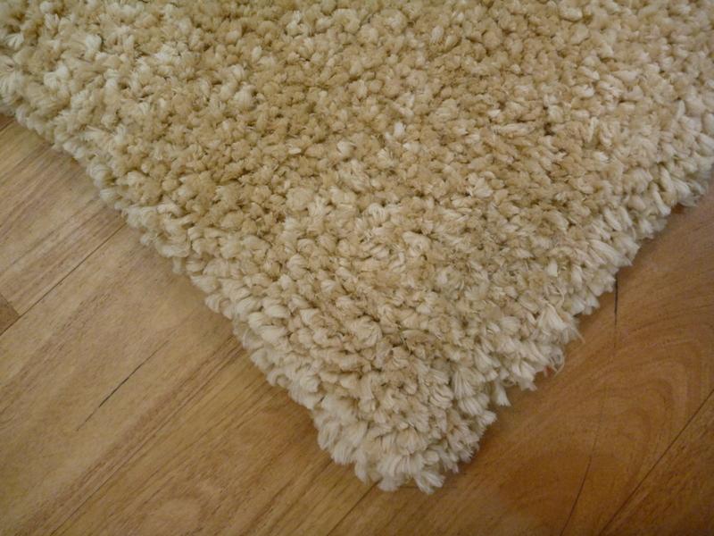 Shaggy Rugs Exquisite Beige Super Soft 120X170CM