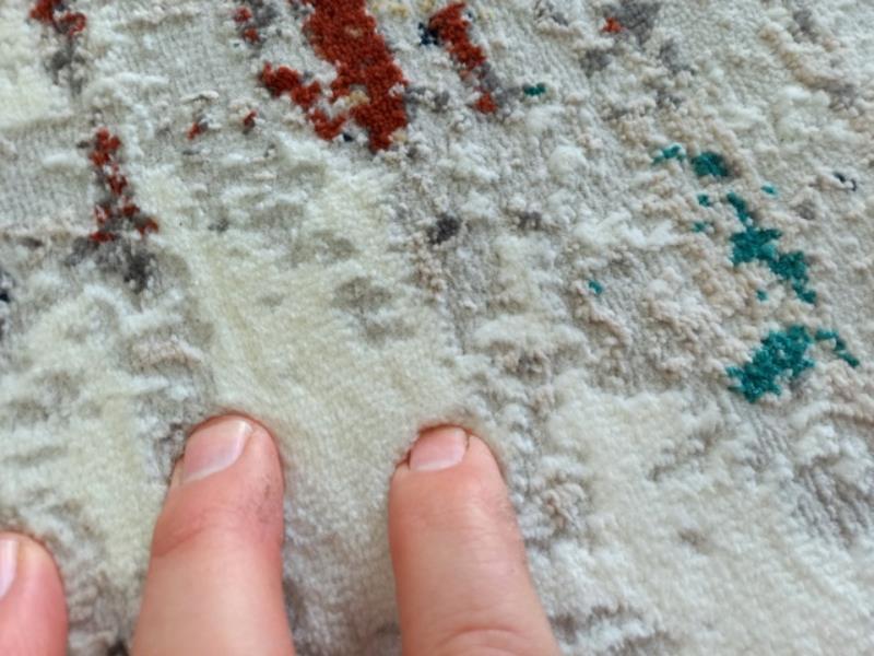 Transitional Design Coastal Grey Emerald Terracotta Area Rug