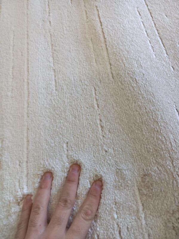 Super Soft Feel Cream Beige Mirror Desire 14mm Thick Contemporary Floor Area Rugs