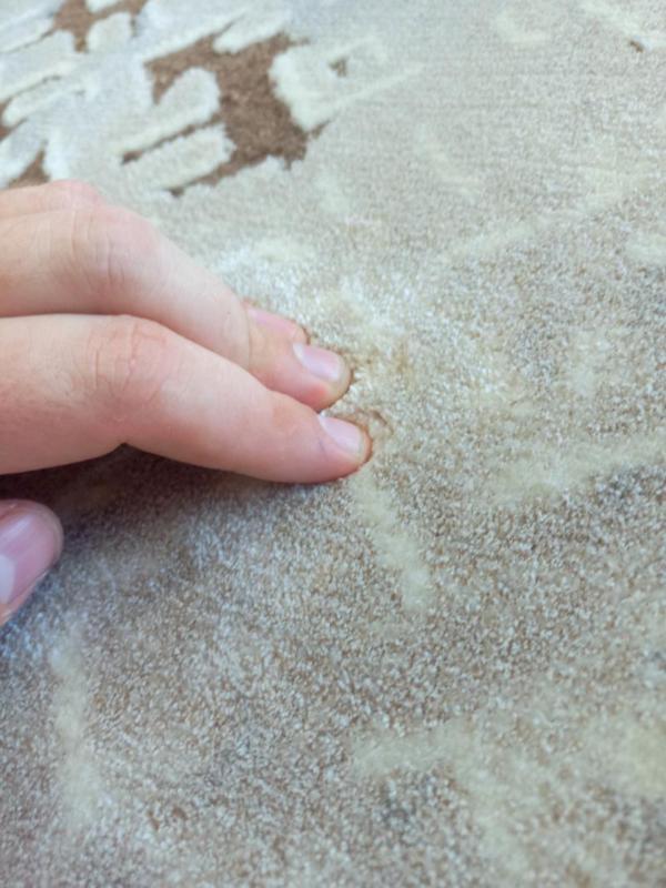 Modern Transitional Allover Design Dust Bone 11mm Thick Super Soft Floor Area Rugs
