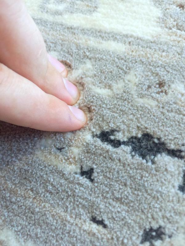 Persian Transitional Allover Design Portabella 11mm Thick Super Soft Floor Area Rugs
