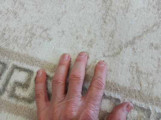 Super Soft Feel Fibers Cream Greek Key Delight 9mm Thick Floor Area Rugs